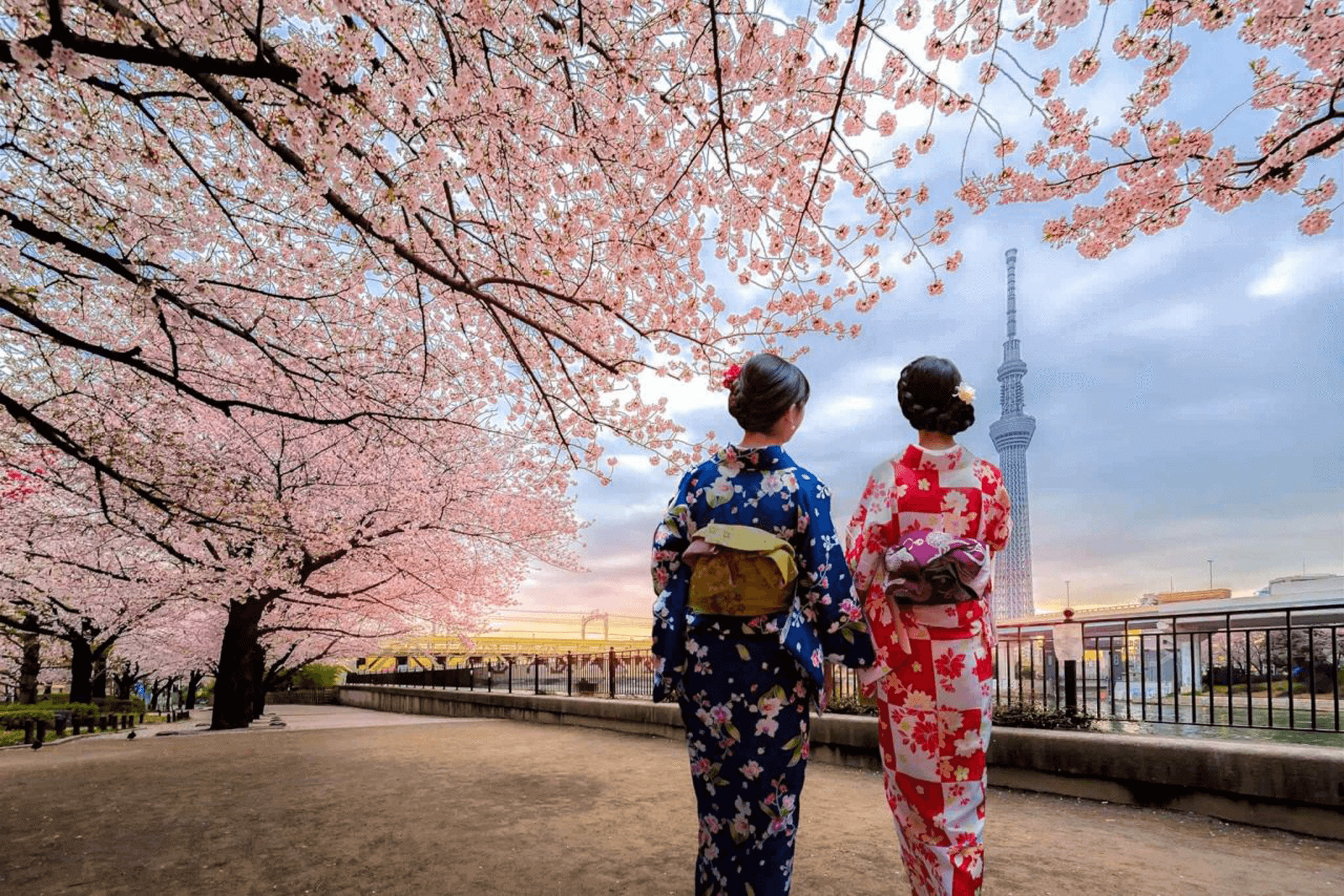 Tokyo-small-group-tour