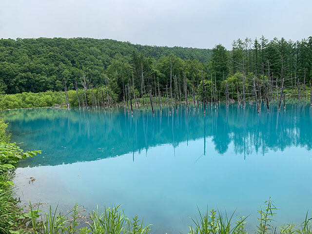 Aoike pond