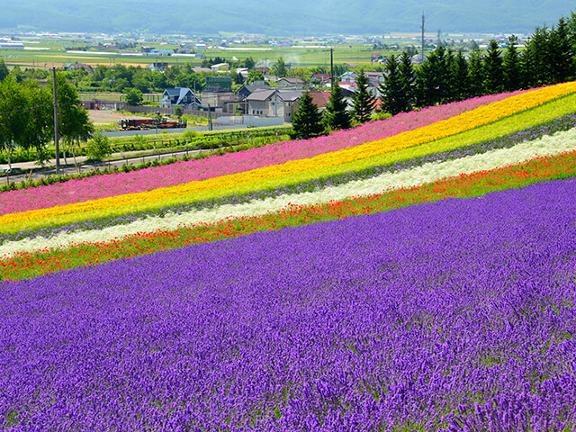 furano