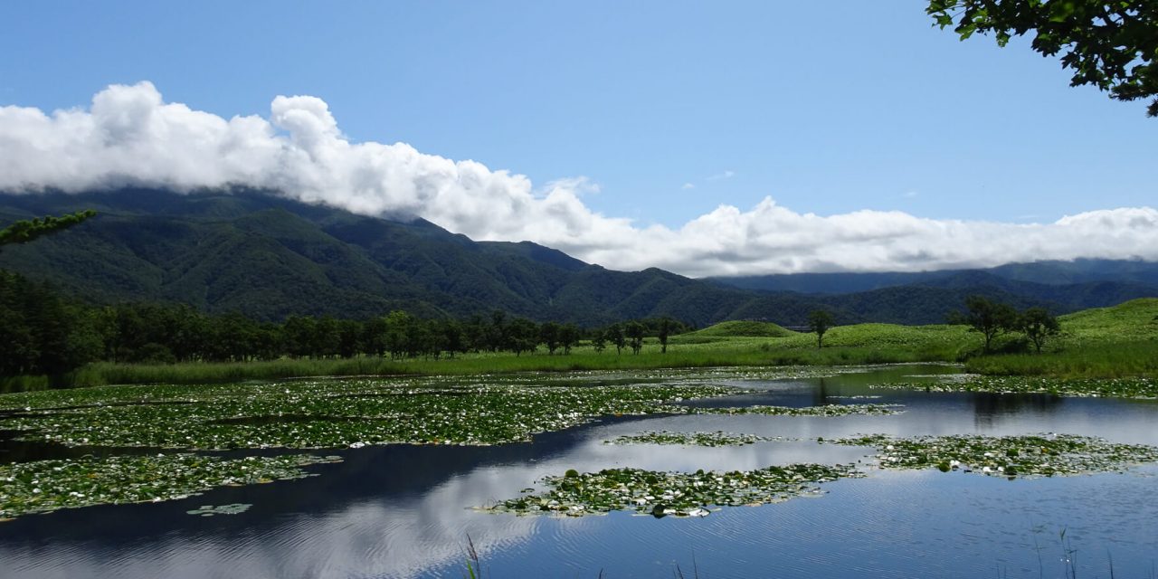 Hokkaido Travel I