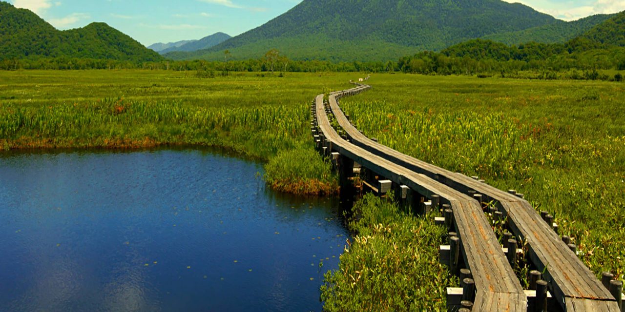 Japan Walking Tour