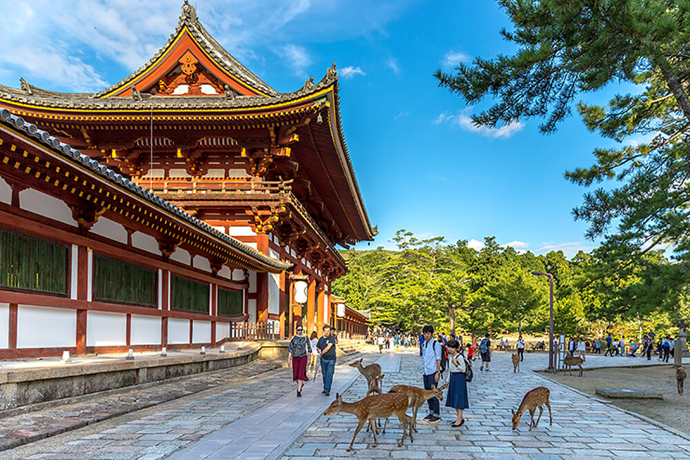 Nara Japan